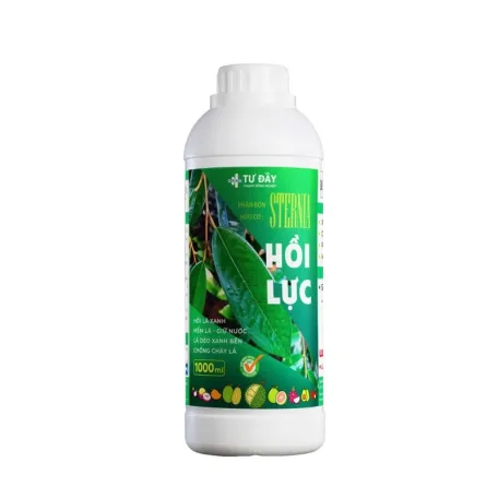 HỒI LỰC CÂY