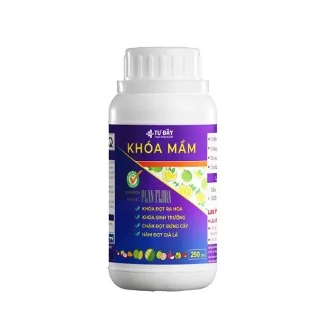 KHÓA MẦM