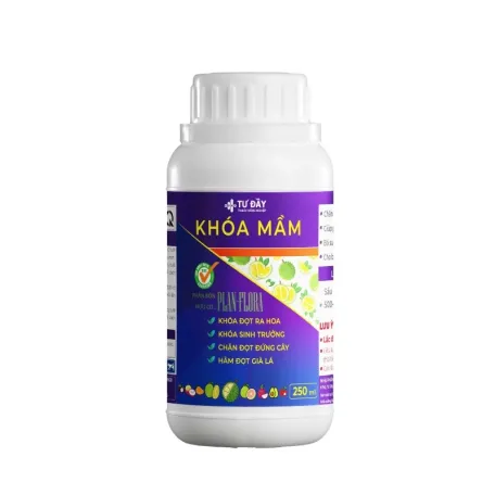 KHÓA MẦM