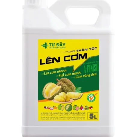 LÊN CƠM CAN LỚN