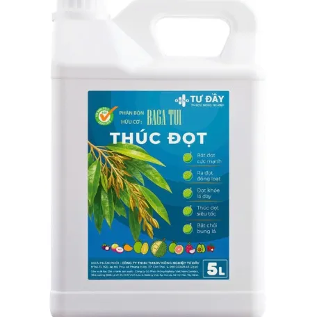 THÚC ĐỌT CAN LỚN