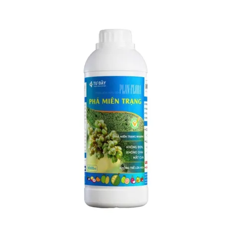 PHÁ MIÊN TRẠNG