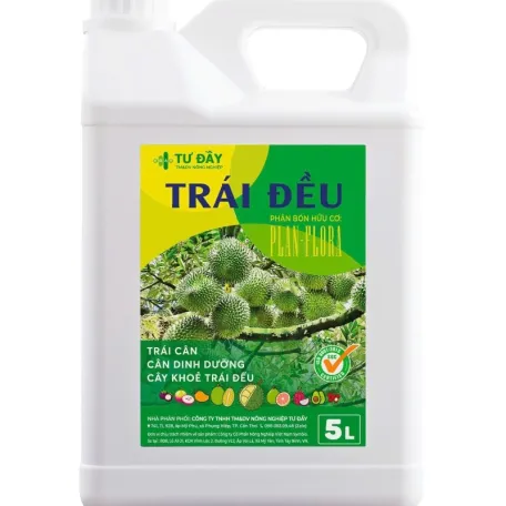TRÁI ĐỀU CAN LỚN
