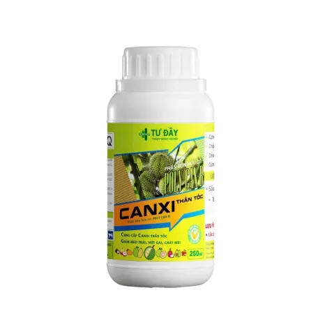 CANXI THẦN TỐC