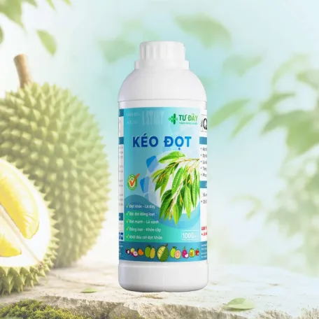 KÉO ĐỌT
