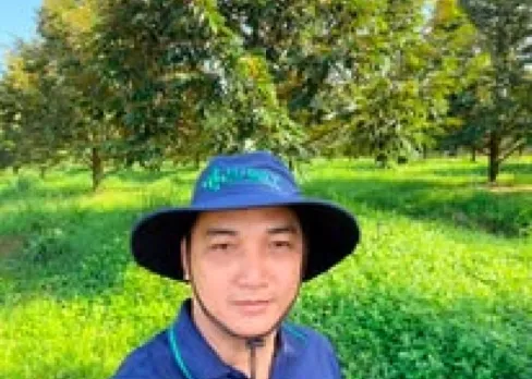 Bí quyết chăm sóc vườn sầu riêng khi cây quá sung, khó ra bông! Vườn anh Dũng