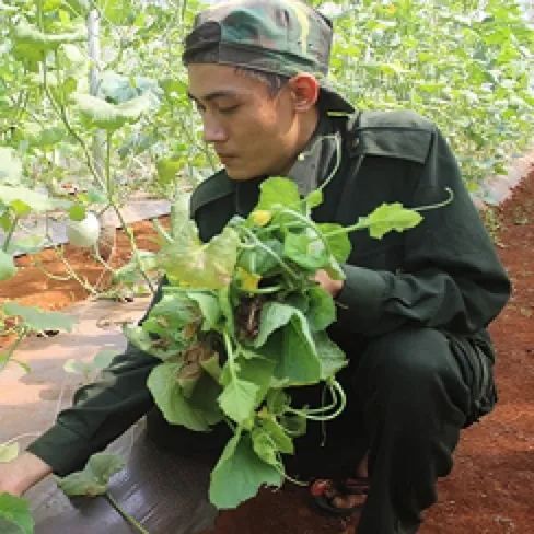TRẦN VĂN A