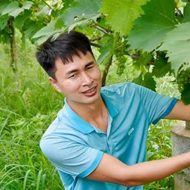 LÊ VĂN A