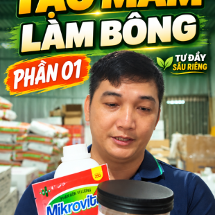 TRỌN BỘ QUY TRÌNH SẢN PHẨM TỪ PHỤC HỒI NUÔI CƠI TỚI LÀM BÔNG CỦA TƯ ĐẦY - Phần 01