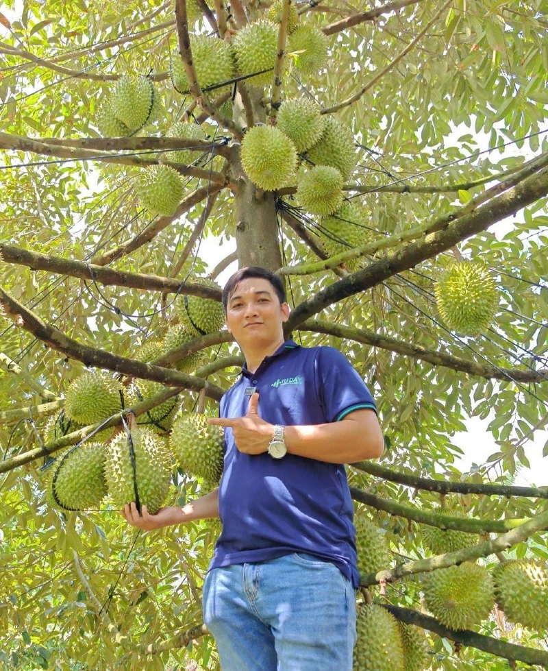 ANH TƯ ĐẦY