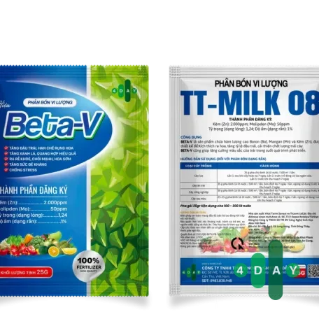 BETA-V TURKEY BETA-V TURKEY