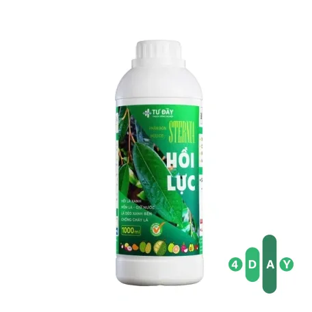 HỒI LỰC HỒI LỰC