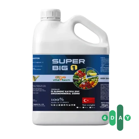 SUPER BIG SUPER BIG