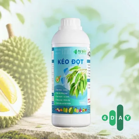 KÉO ĐỌT
