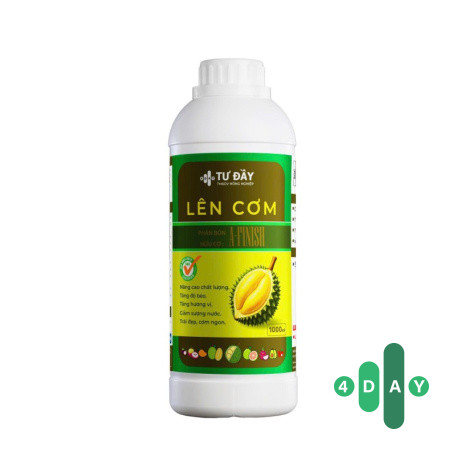 LÊN CƠM